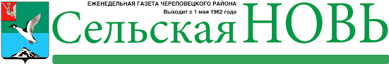 Сельская Новь