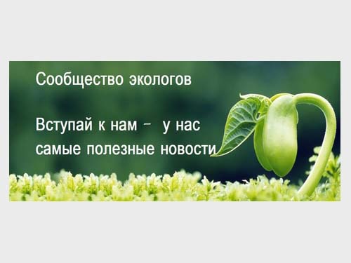 Словацко-немецкие специалисты создали безвредный для живых существ биопластик