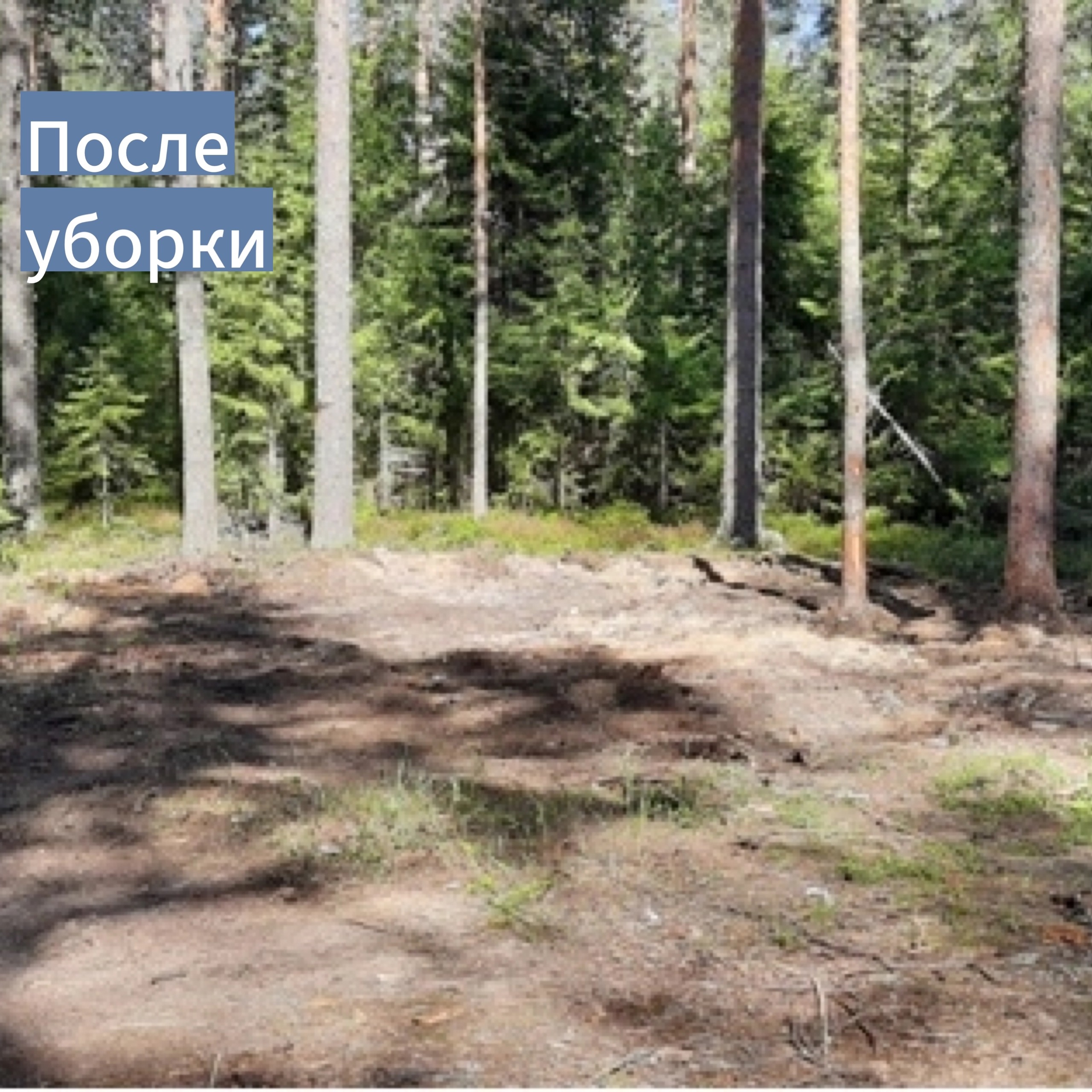 Несанкционированные свалки Несанкционированные свалки