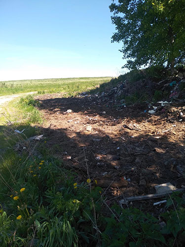 Приступили к уборке несанкционированного места Приступили к уборке несанкционированного места