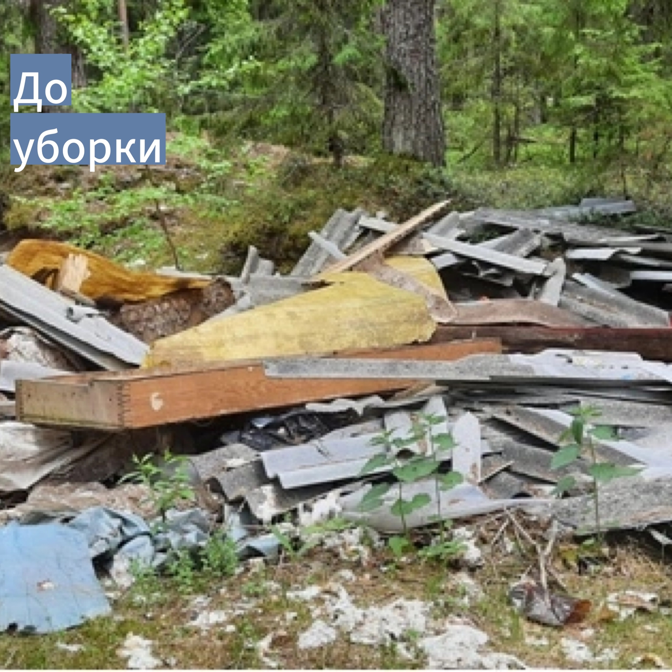 Несанкционированные свалки Несанкционированные свалки