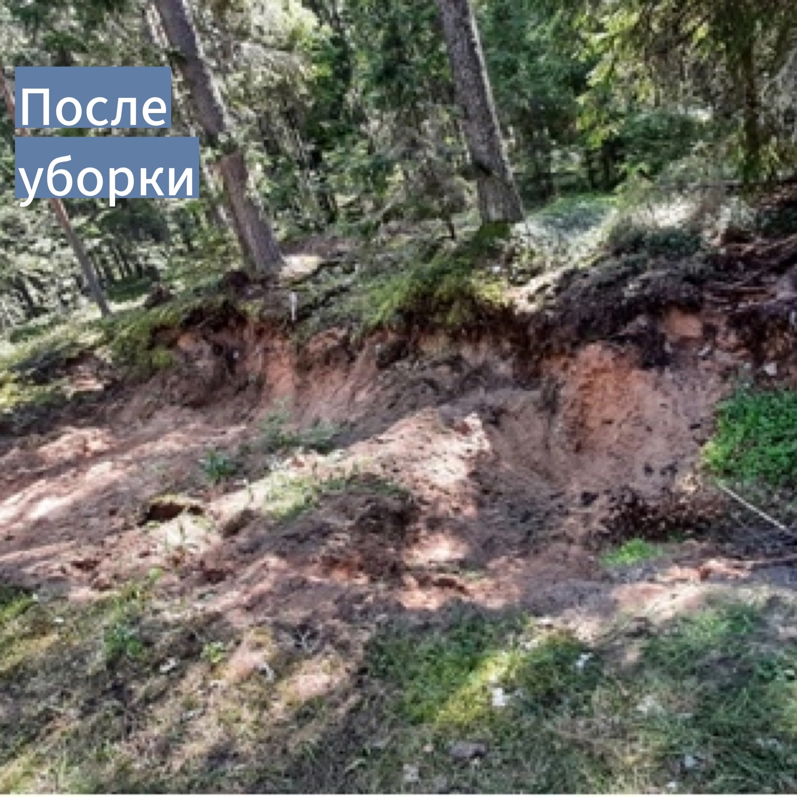 Несанкционированные свалки Несанкционированные свалки