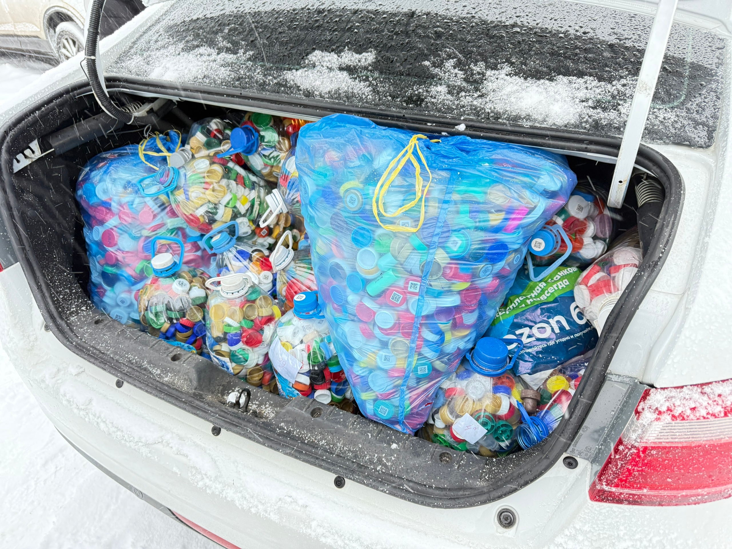 Экоурок для ребят из Судской школы Экоурок для ребят из Судской школы