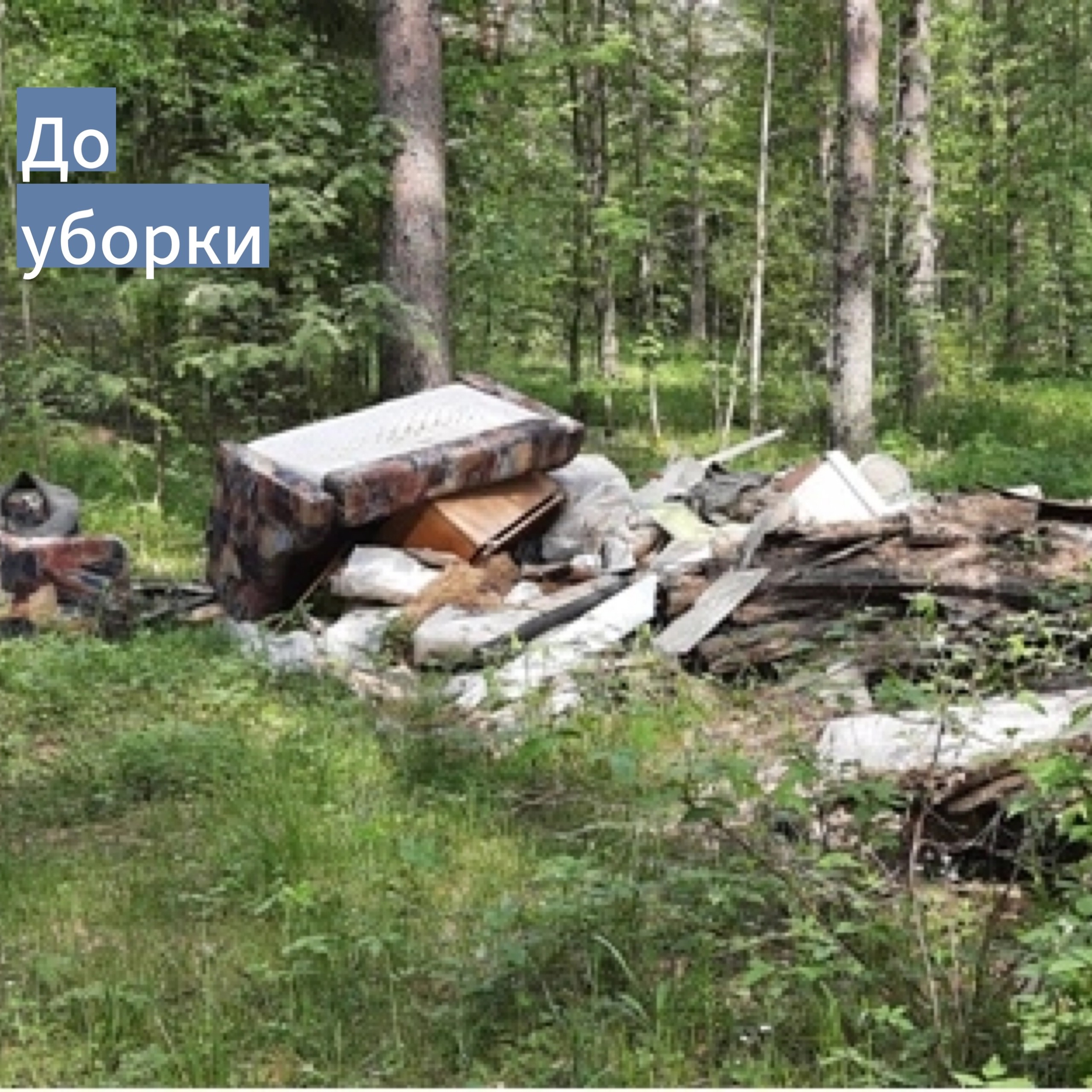 Несанкционированные свалки Несанкционированные свалки