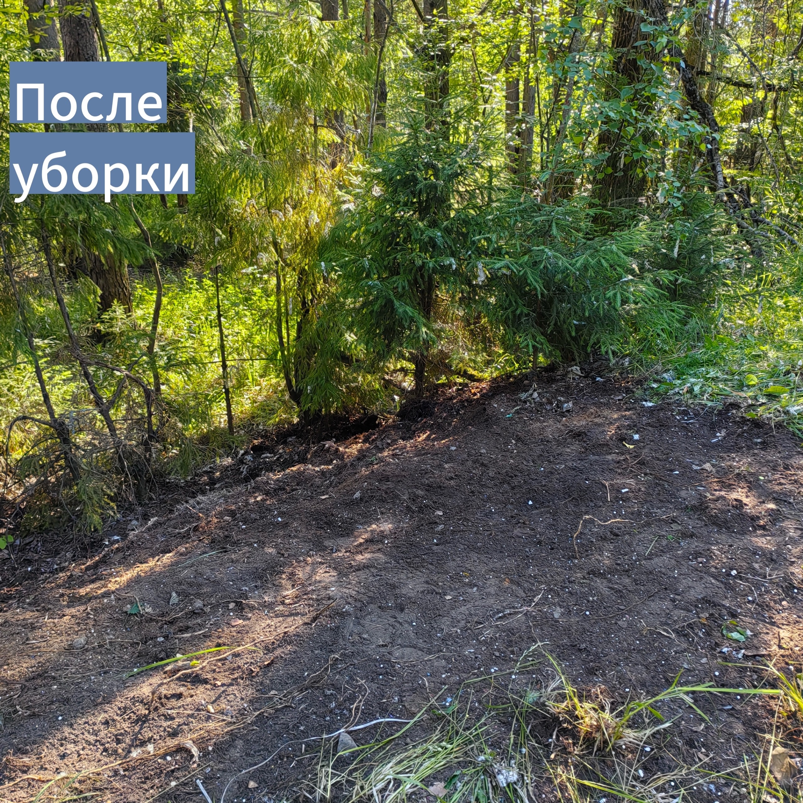 Уборка несанкционированных свалок Уборка несанкционированных свалок
