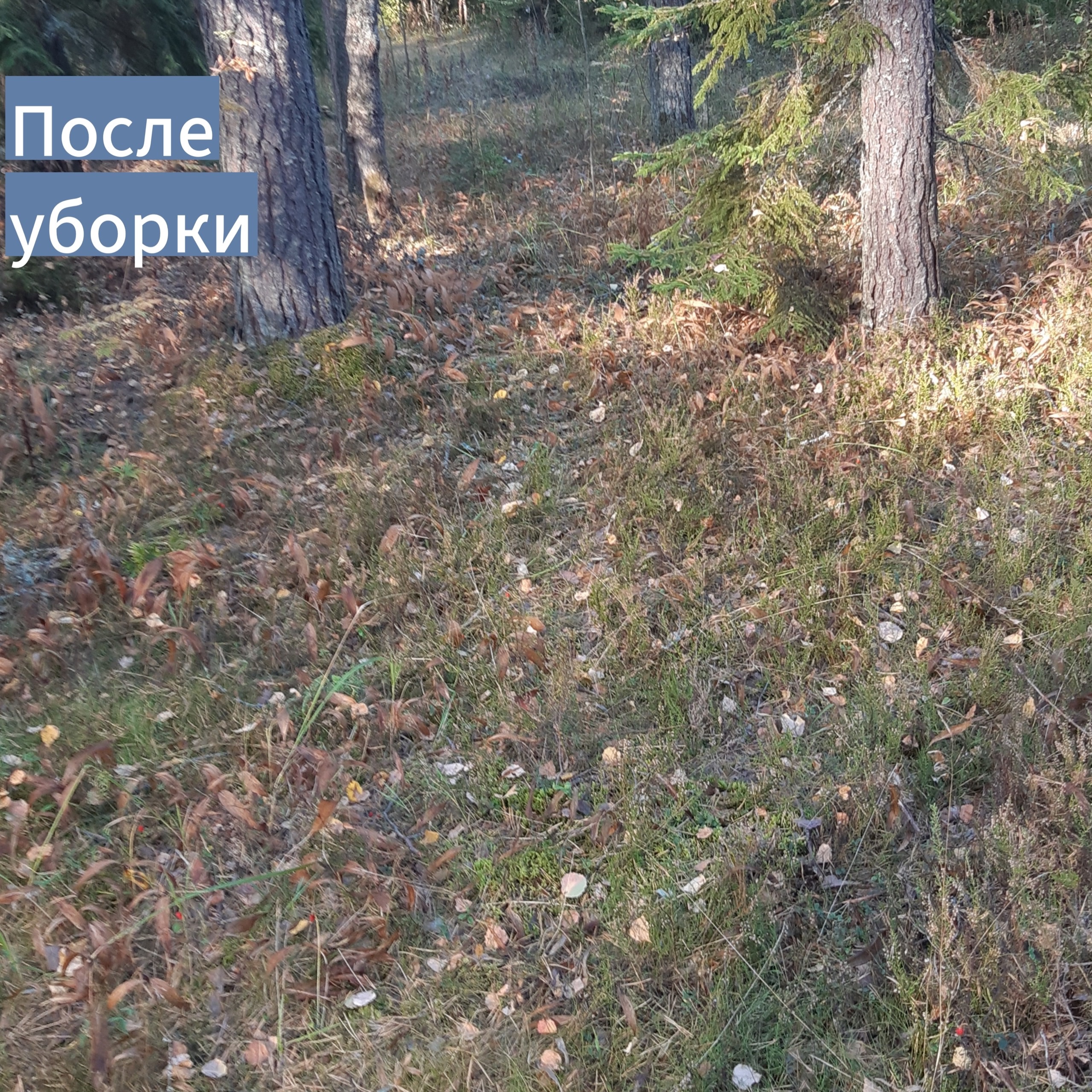 Продолжаем убирать несанкционированные свалки Продолжаем убирать несанкционированные свалки