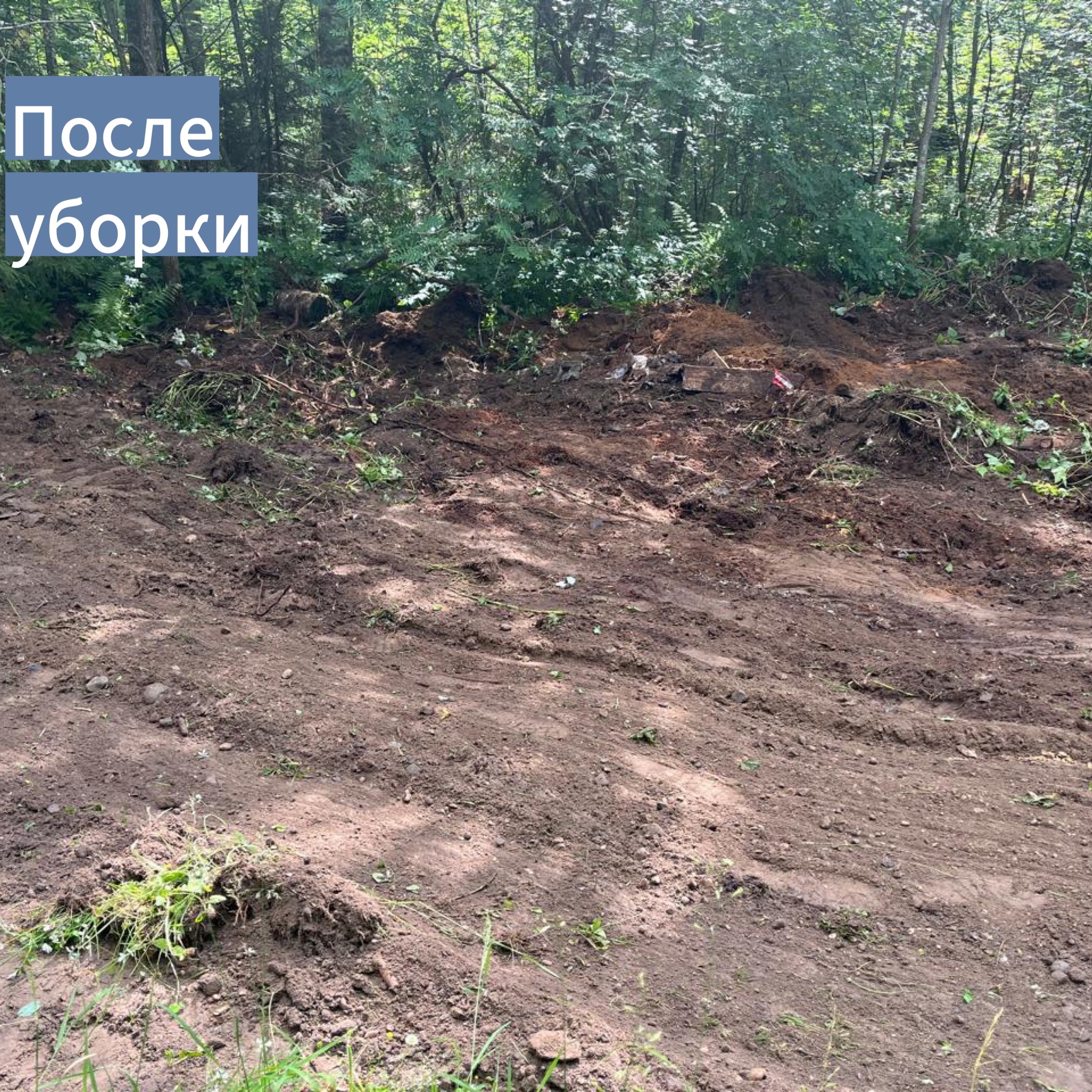 Уборка несанкционированных свалок Уборка несанкционированных свалок