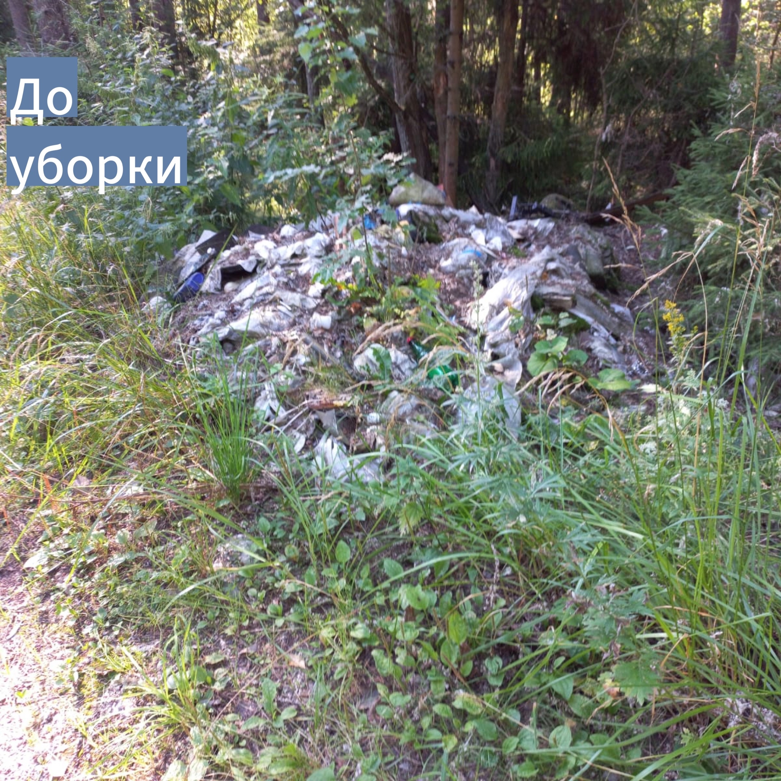 Уборка несанкционированных свалок Уборка несанкционированных свалок