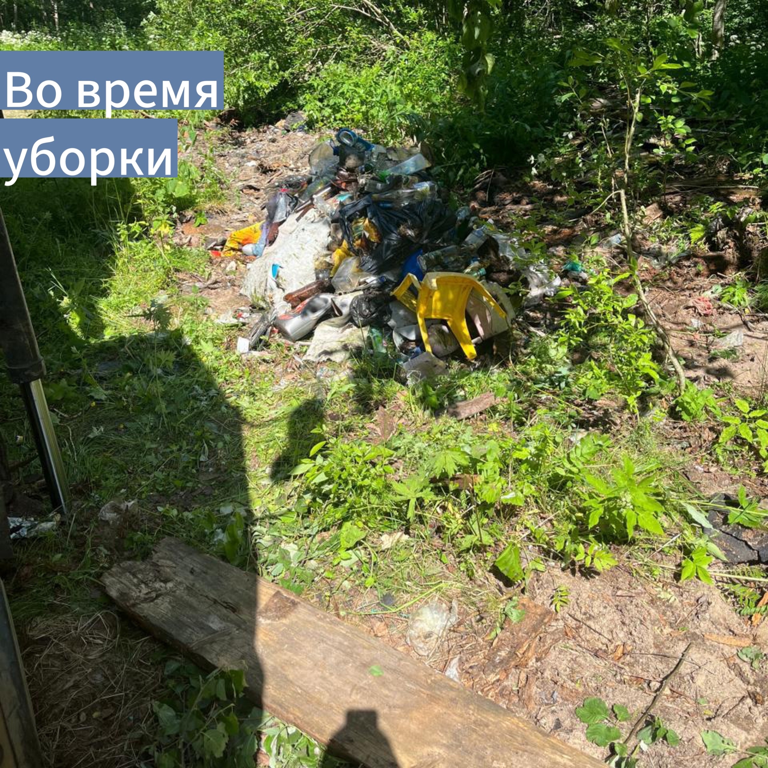 Уборка несанкционированных свалок Уборка несанкционированных свалок