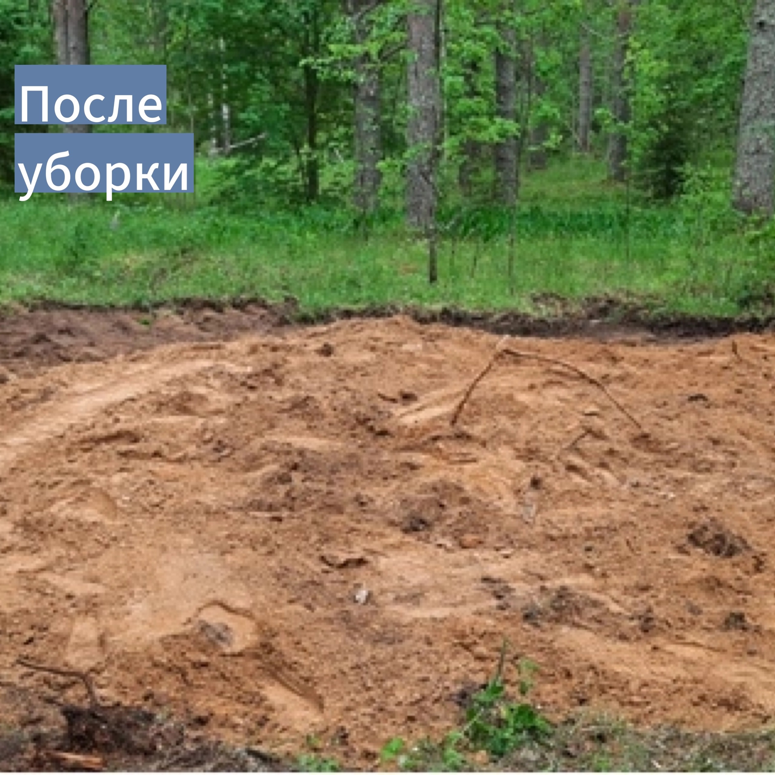 Несанкционированные свалки Несанкционированные свалки