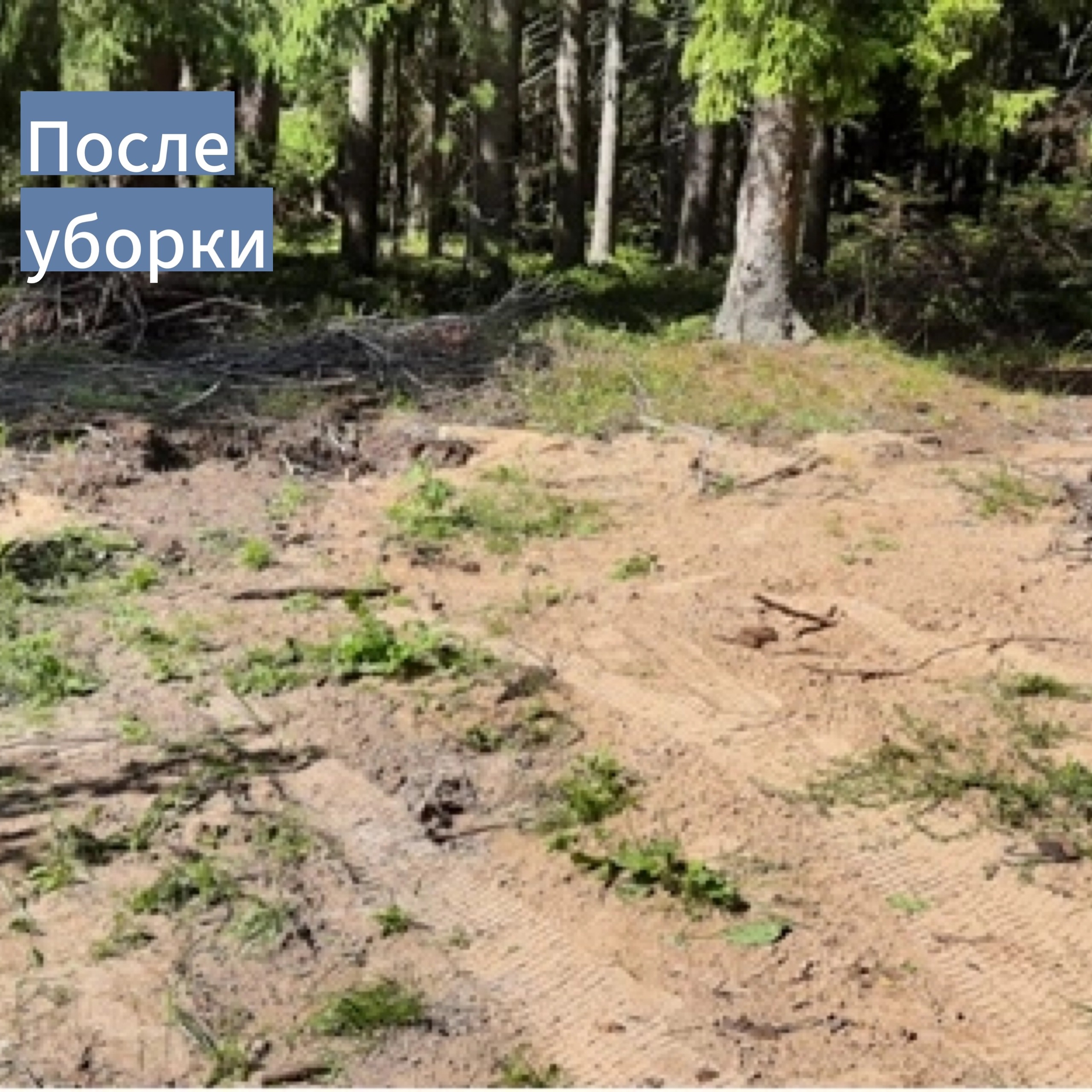 Несанкционированные свалки Несанкционированные свалки