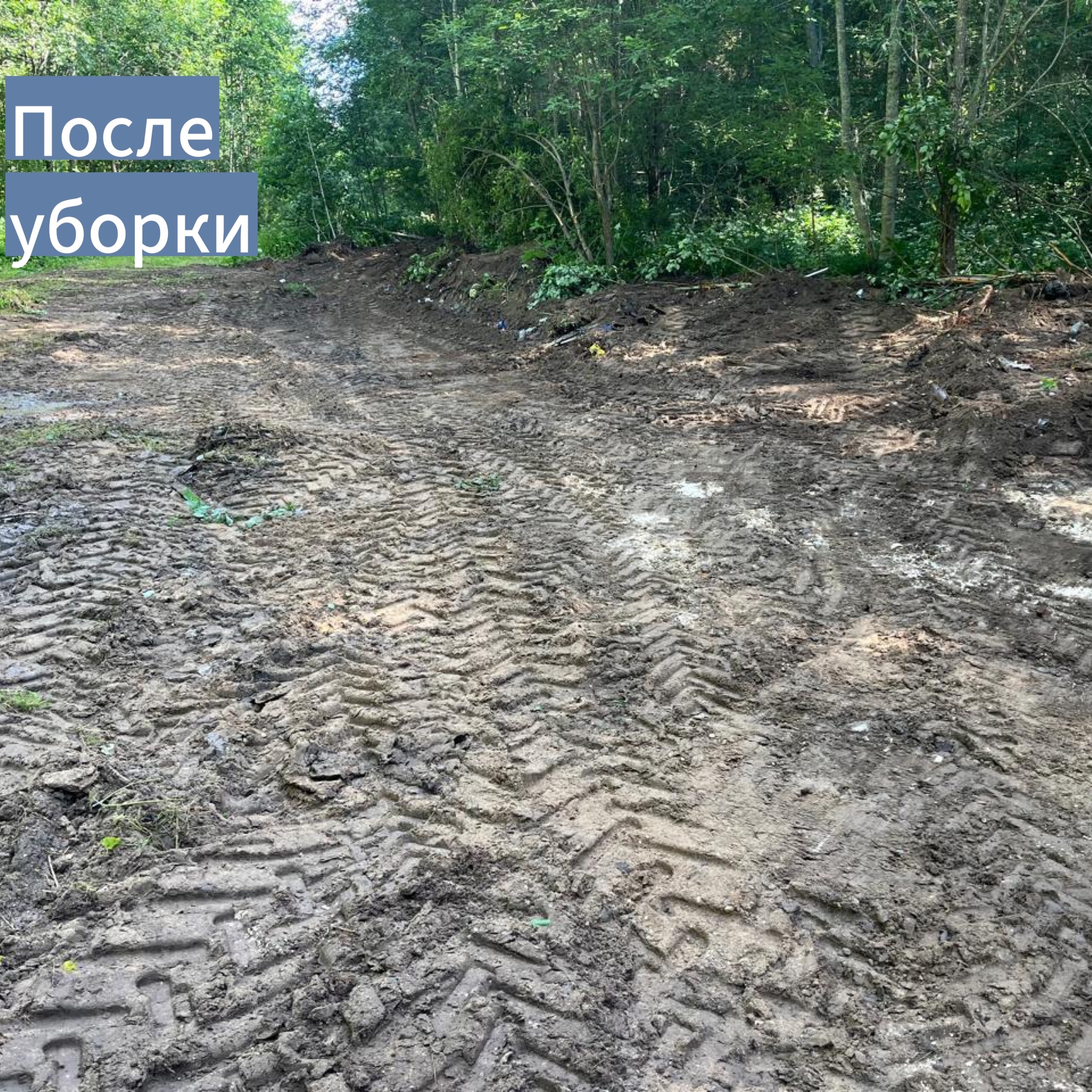 Уборка несанкционированных свалок Уборка несанкционированных свалок