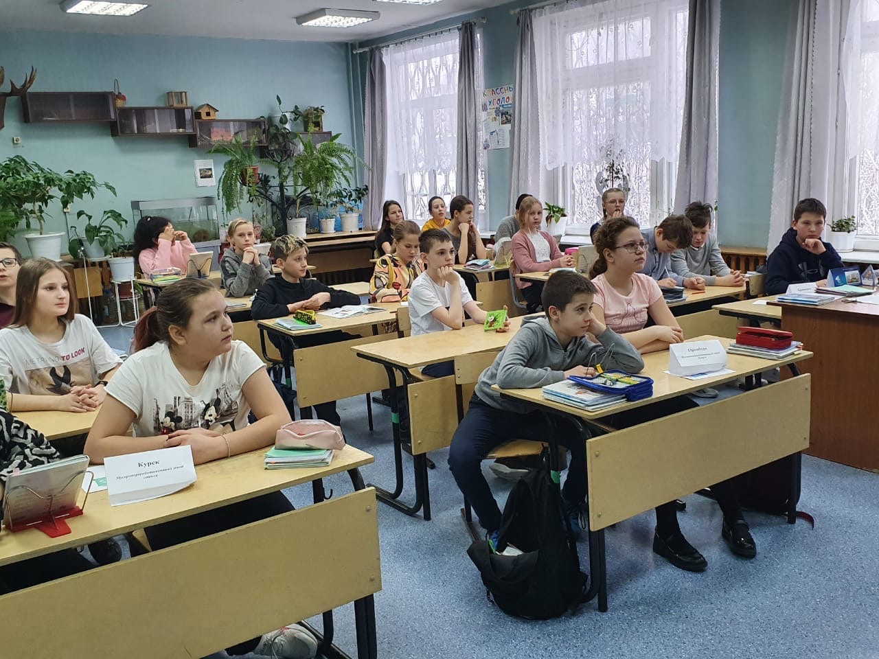 Повышаем экологическую грамотность Повышаем экологическую грамотность