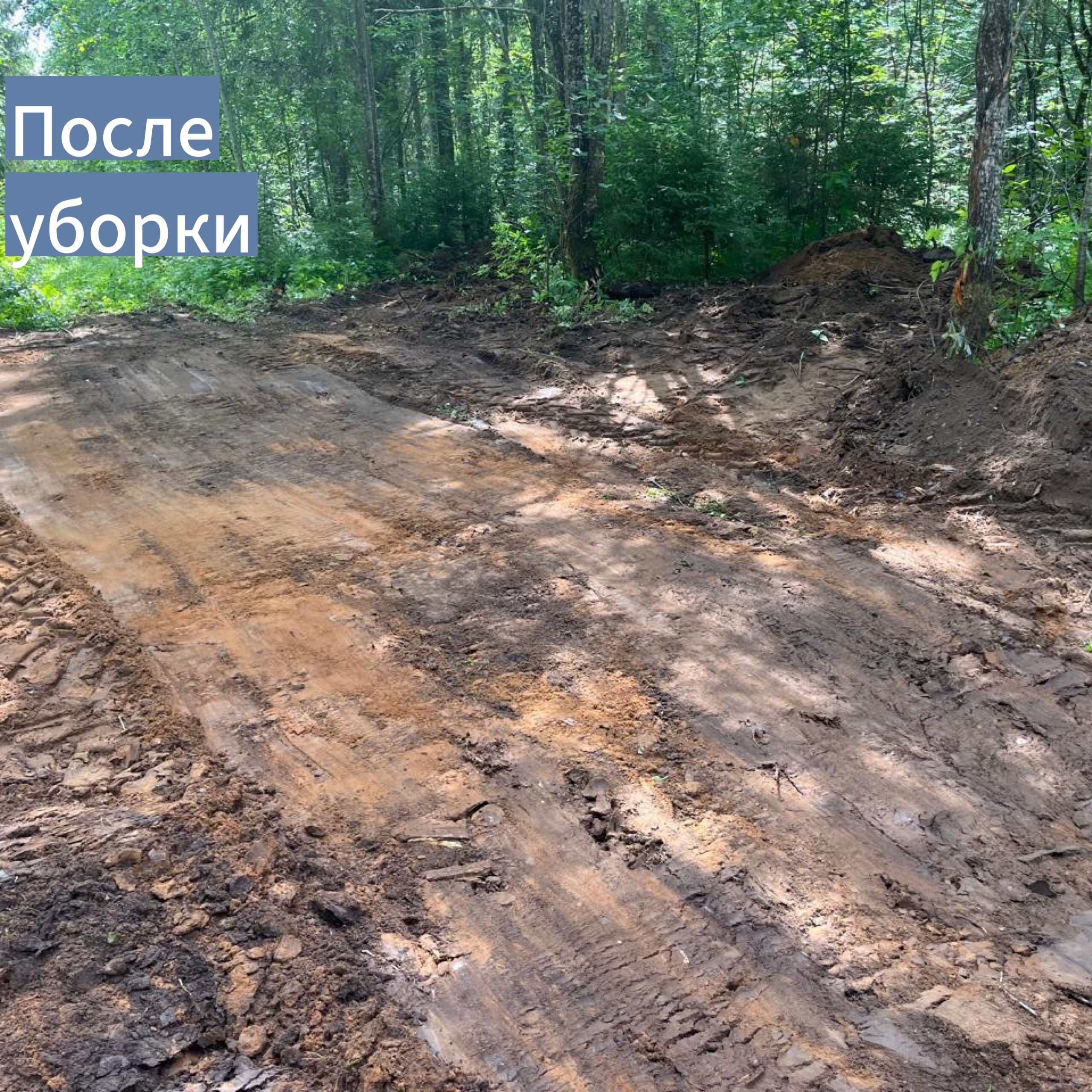 Уборка несанкционированных свалок Уборка несанкционированных свалок