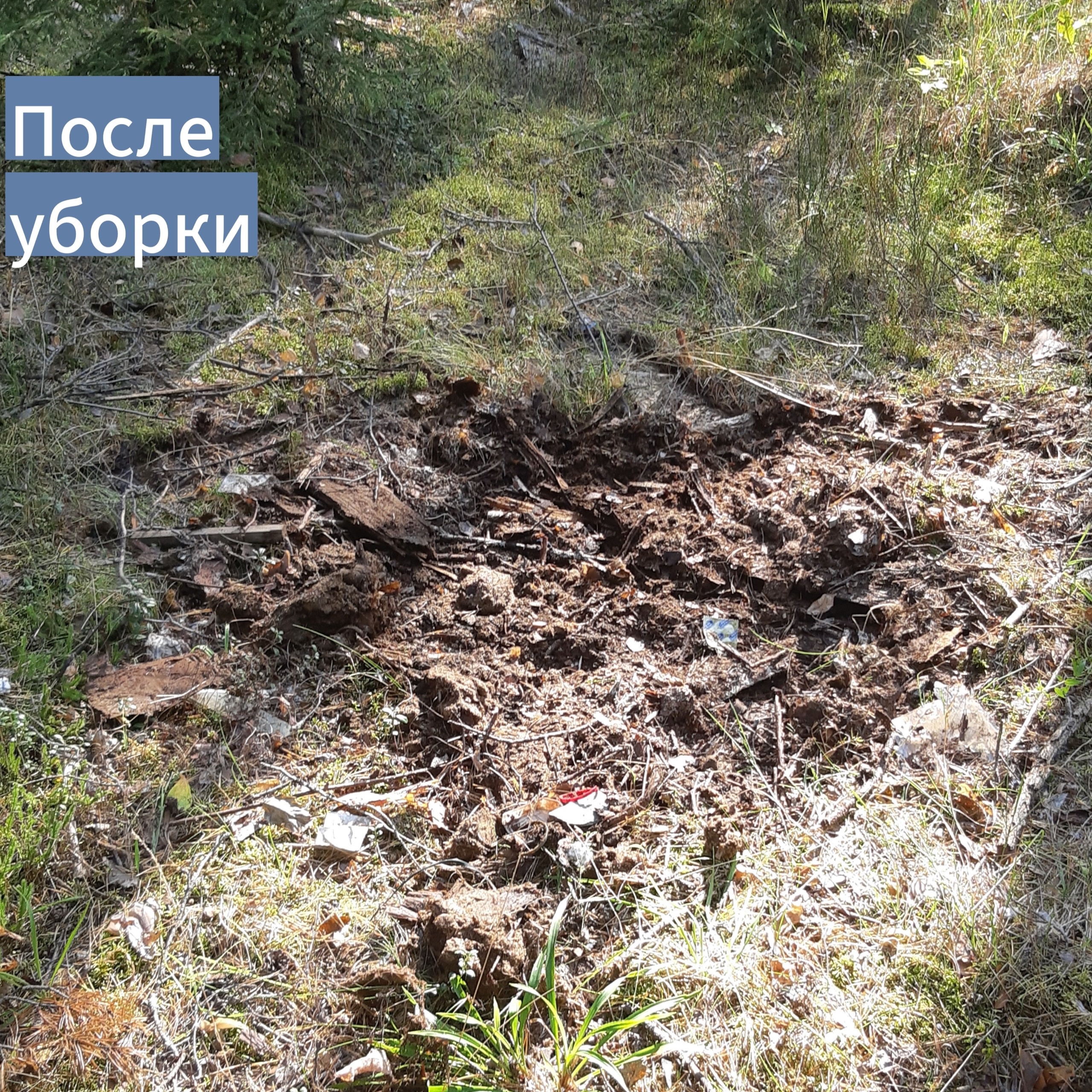 Продолжаем убирать несанкционированные свалки Продолжаем убирать несанкционированные свалки