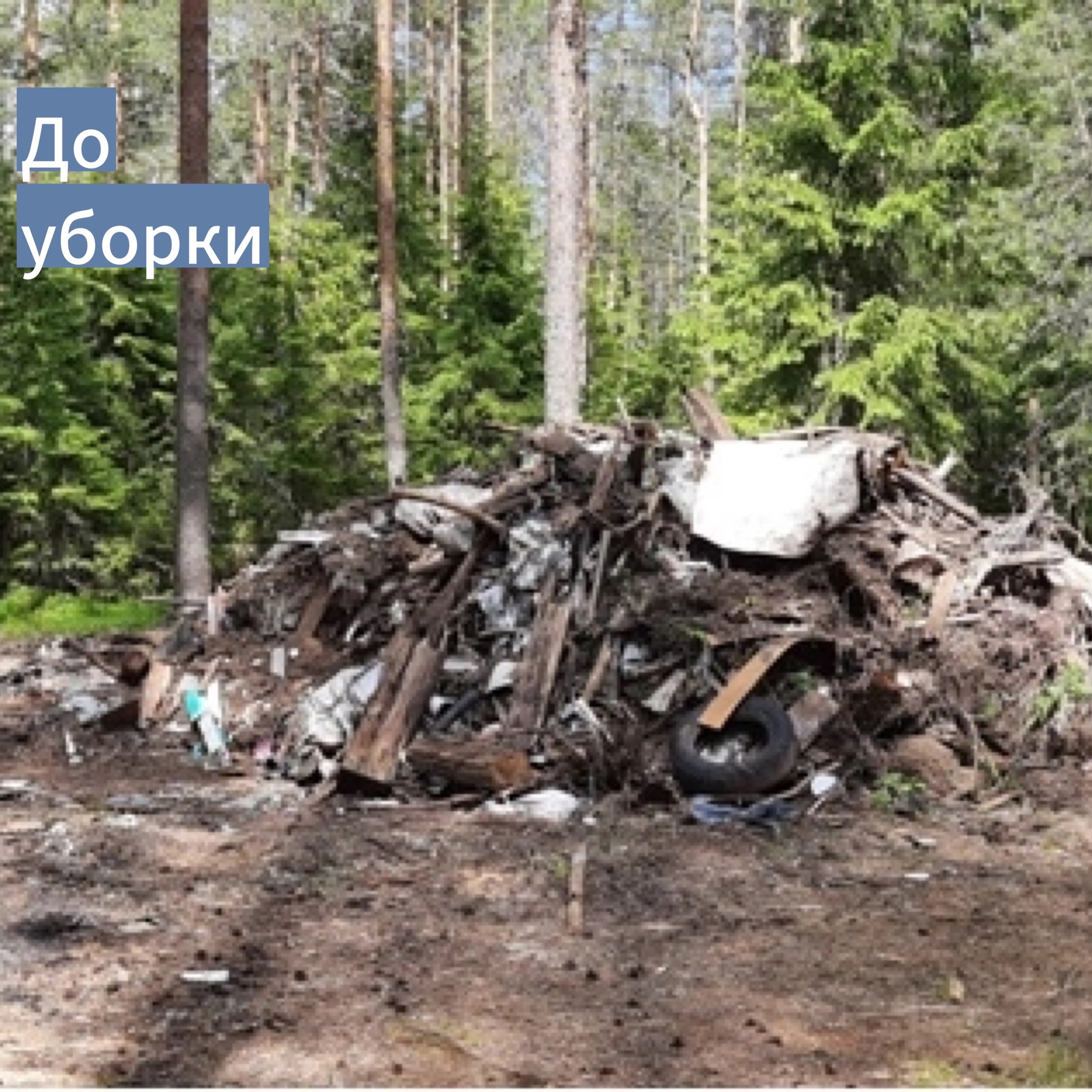 Несанкционированные свалки Несанкционированные свалки