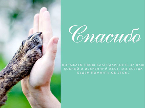 СЛОВА БЛАГОДАРНОСТИ