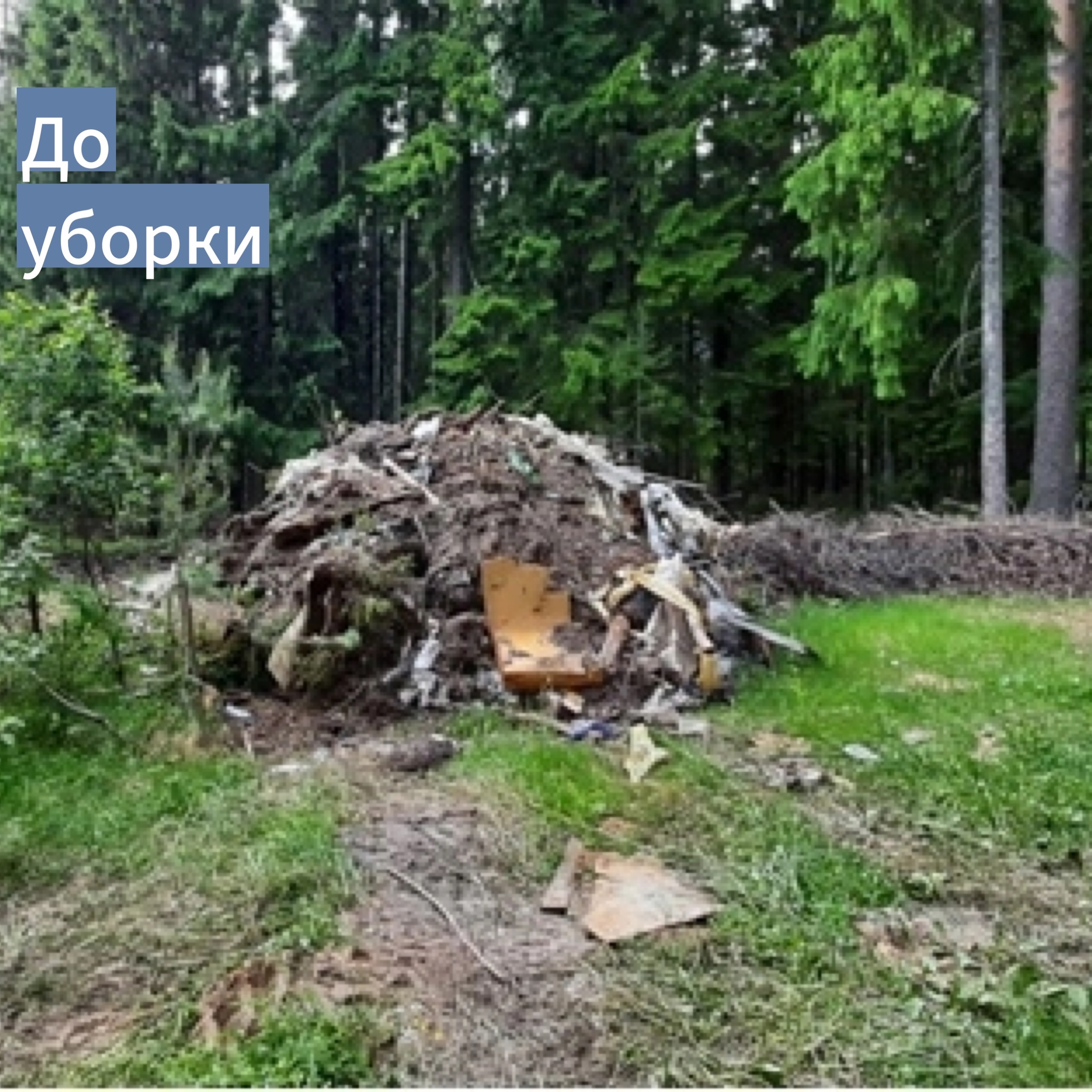 Несанкционированные свалки Несанкционированные свалки